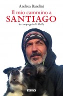 Il mio cammino a Santiago