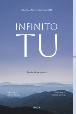 Che cosa può compiere il mio cuore? È la domanda che permea queste pagine nelle quali suor Maria Manuela racconta la storia d'amore che l'ha portata in monastero. Una insolita autobiografia nella quale al centro non vi è l'io dell'Autrice, bensì il tu del lettore, invitato a mettersi in viaggio con lei per scoprire «qualcosa in più di te». Seguendo le tappe della sua storia, il lettore può rintracciare in sé quel «non mi basta», segno dell'infinito che abita il cuore, e riconoscere nel Tu di Dio, «che si sottomette al tempo che io impiego ad aprire la porta del mio cuore», l'amore capace di compiere la vita. «Non mi interessa parlare di me e non mi illudo possa essere utile a te che leggi. Ma se riuscirò a mostrare la potenza e la misericordia di Dio nella mia vita, a svelare le sorprendenti vie della Provvidenza, allora sì, questo interessa anche te».